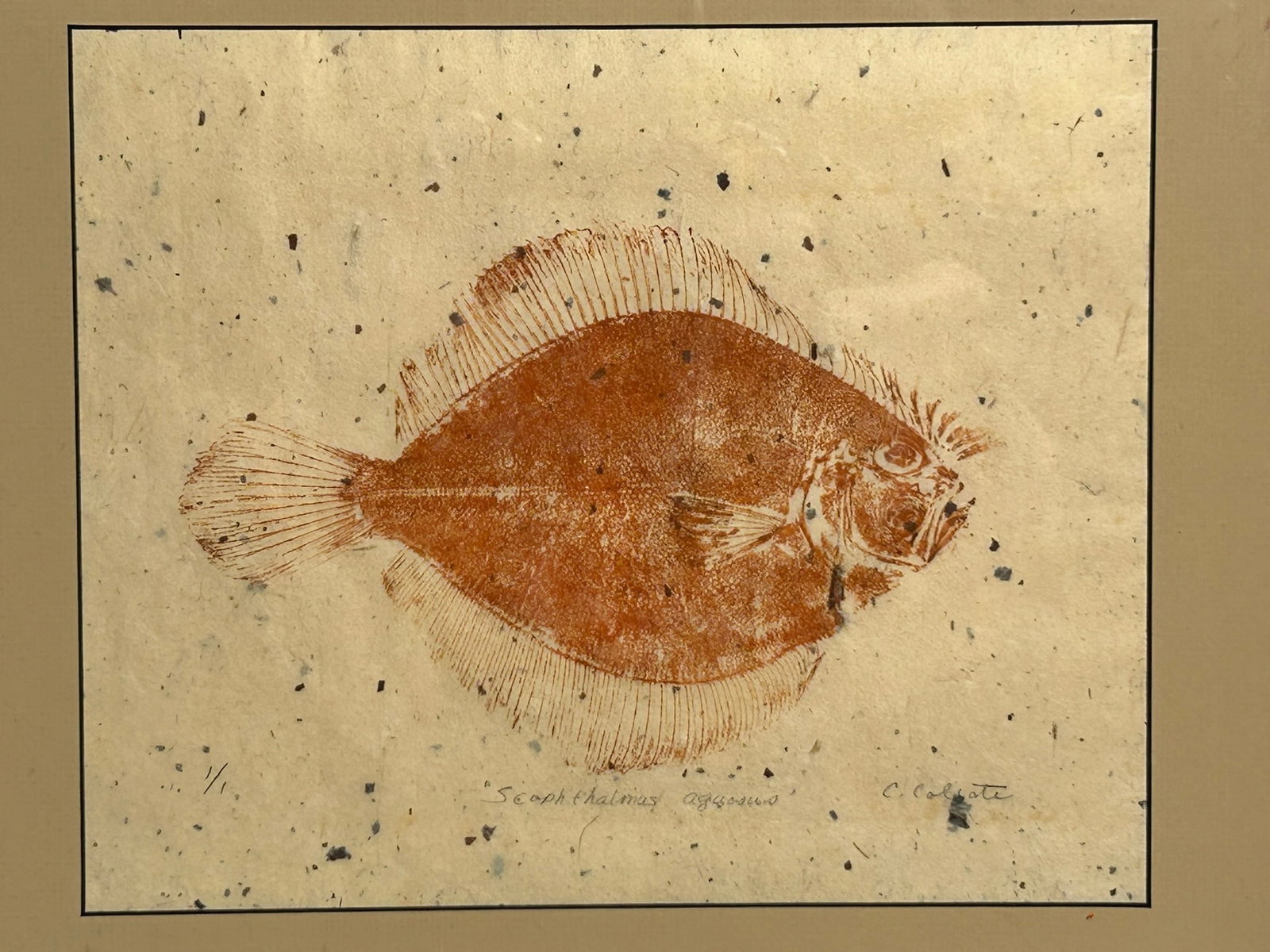 Gyotaku Fish Print (1 of 5)