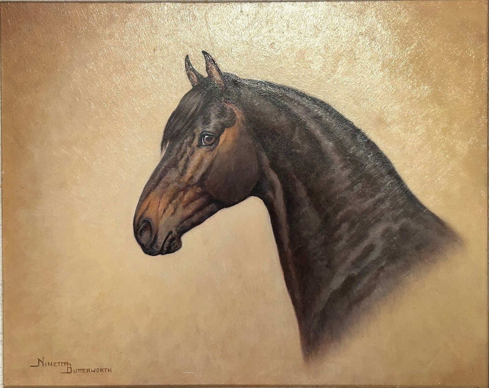 A Painting 'Andalusian Stallion', a Signature Ninetta Butterworth (1 of 6)