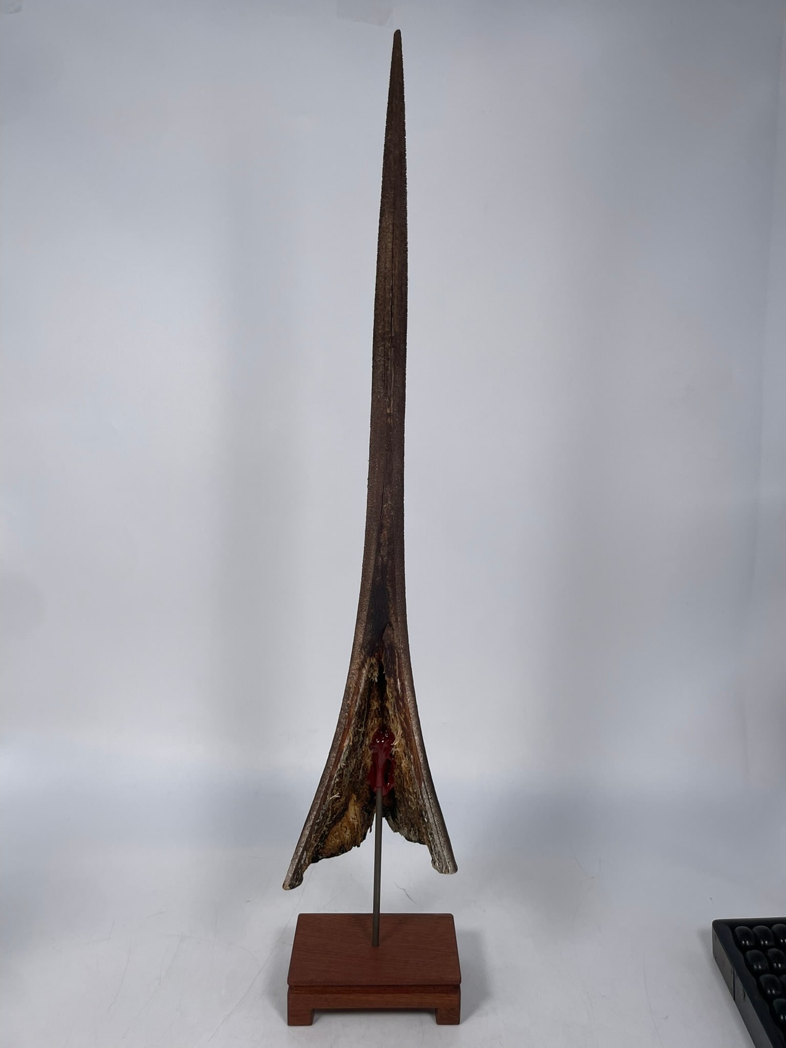 Two Chinese Abacuses and Three Decorative Objects - 2