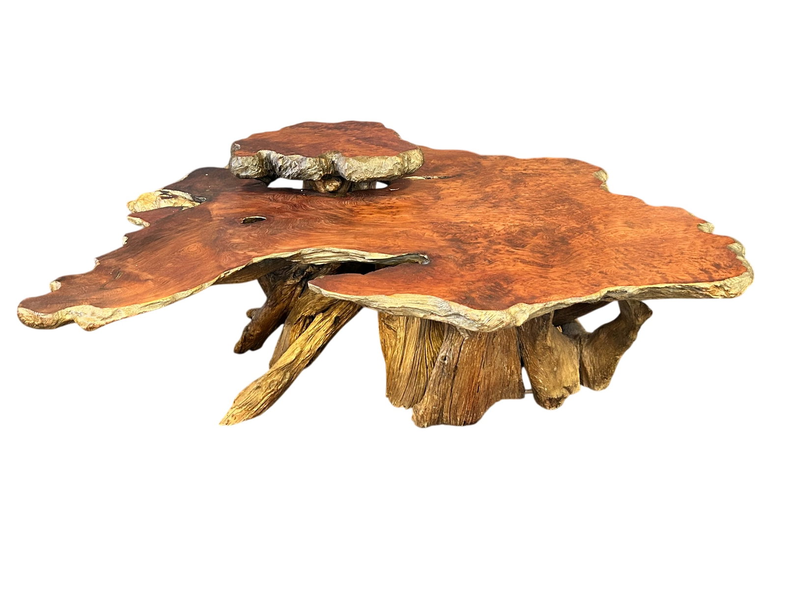 A Rustic Redwood Burl Coffee Table (1 of 7)