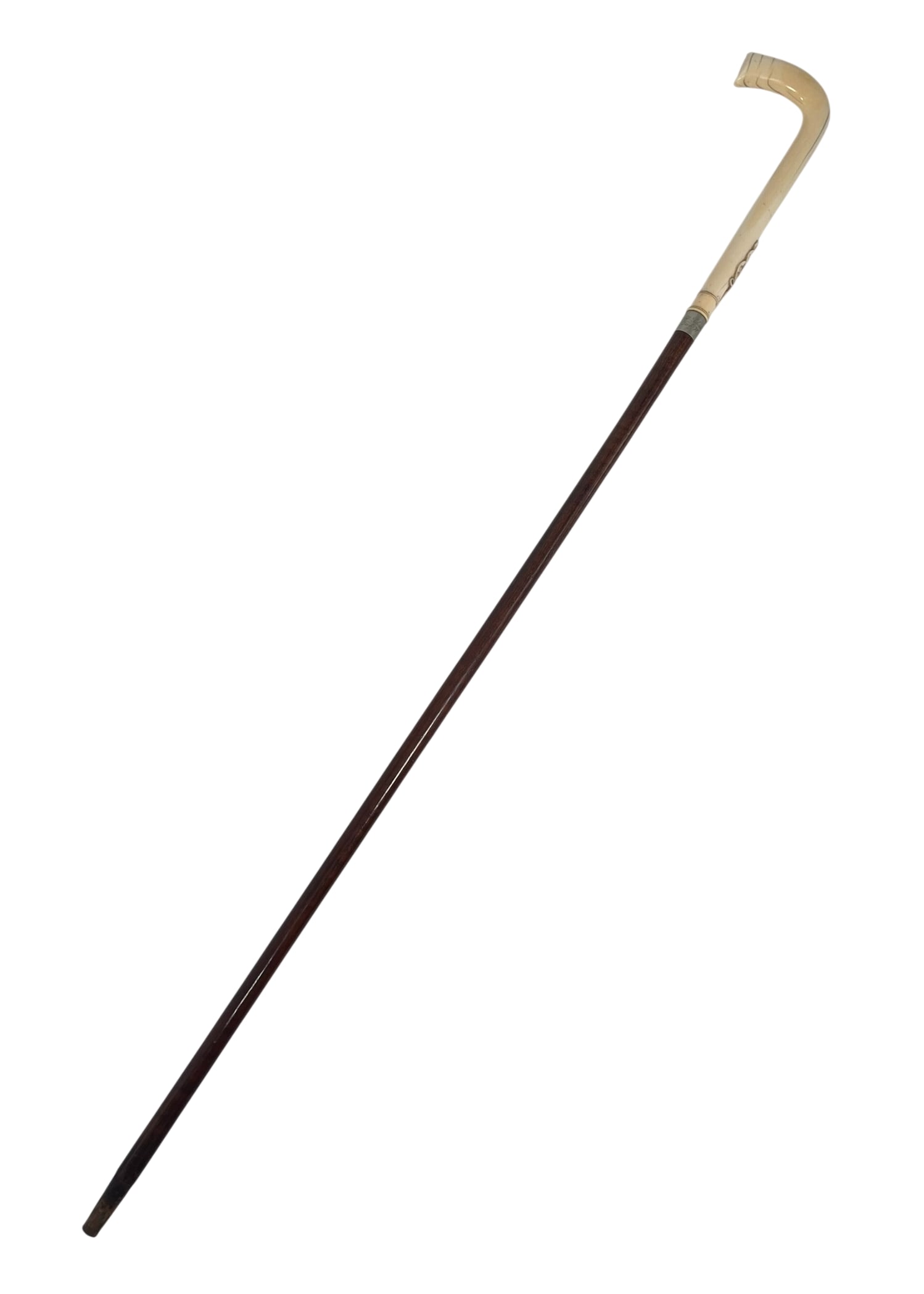 An Antique Walking Cane Featuring a Wood Shaft and a Bone Handle (1 of 16)