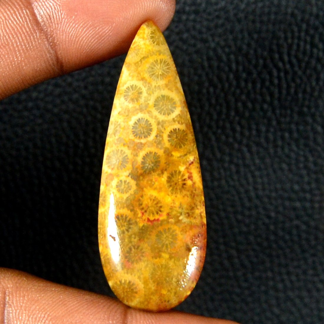42.40Carat 100%Natural Fossil Coral Cabochon Gemstone: Item Name:- Fossilized Coral, Item weight in carat:- 42.40, item weight in grams :- ***, item Dimension(Size)in milimeter:- 55 mm, 20 mm, 5 mm, item Dimension(Size)in centmeter:- **, item creation :-