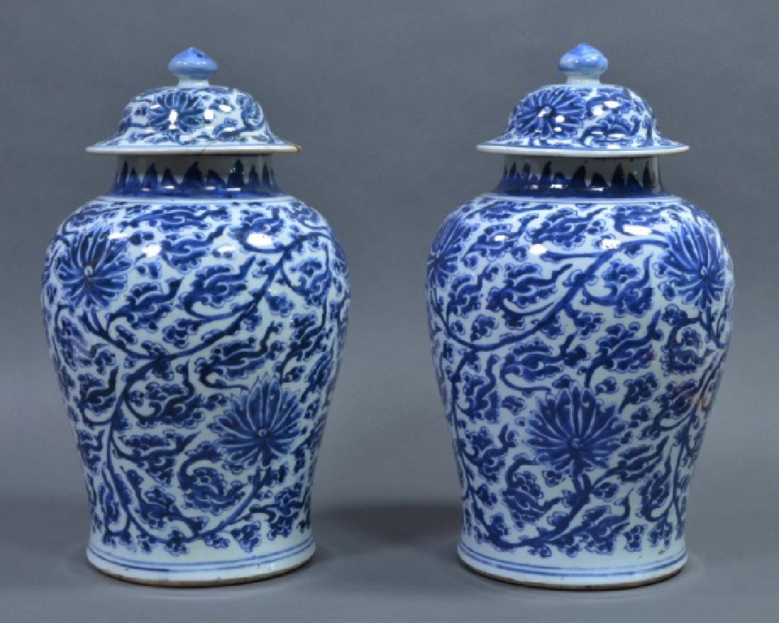 Two Large Chinese Blue & White Vases (1 of 12)