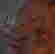 item-62833130=2