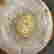 item-62833141=5