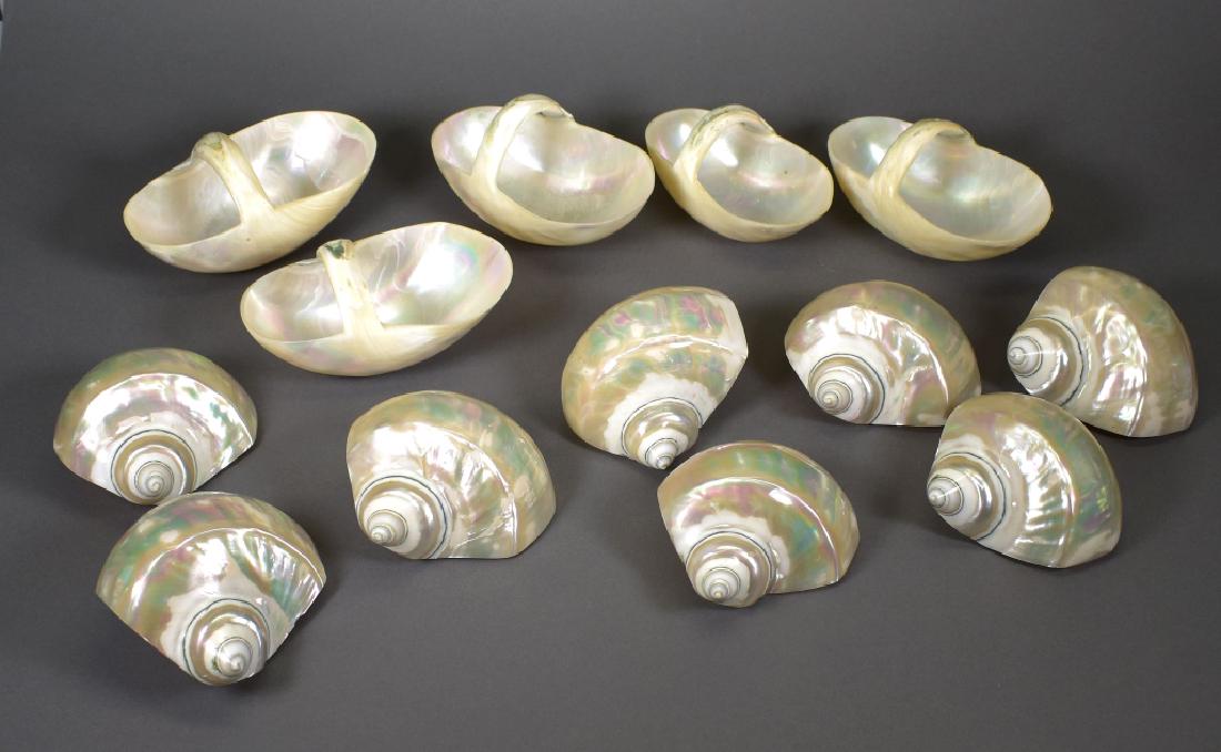 8 Conch Shell Napkin Rings (1 of 2)