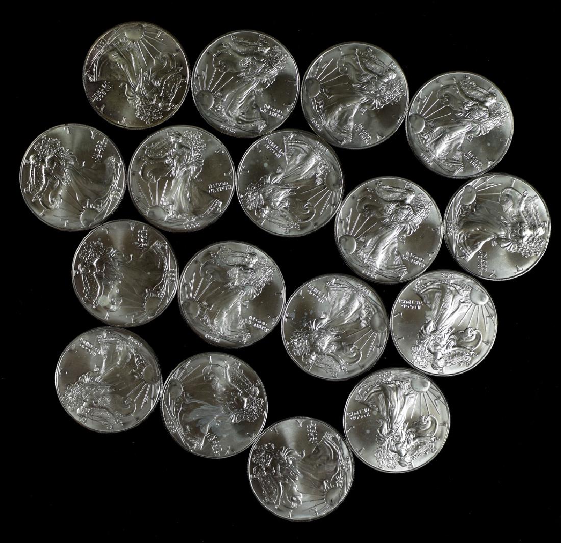17 Silver Eagles (1 of 4)