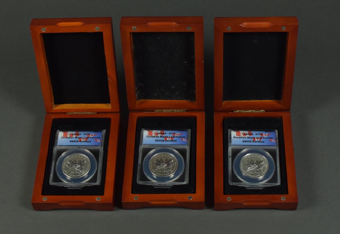 Three 2011 Canadian $10 Coins Satin Proof Maple Leaf (1 of 3)
