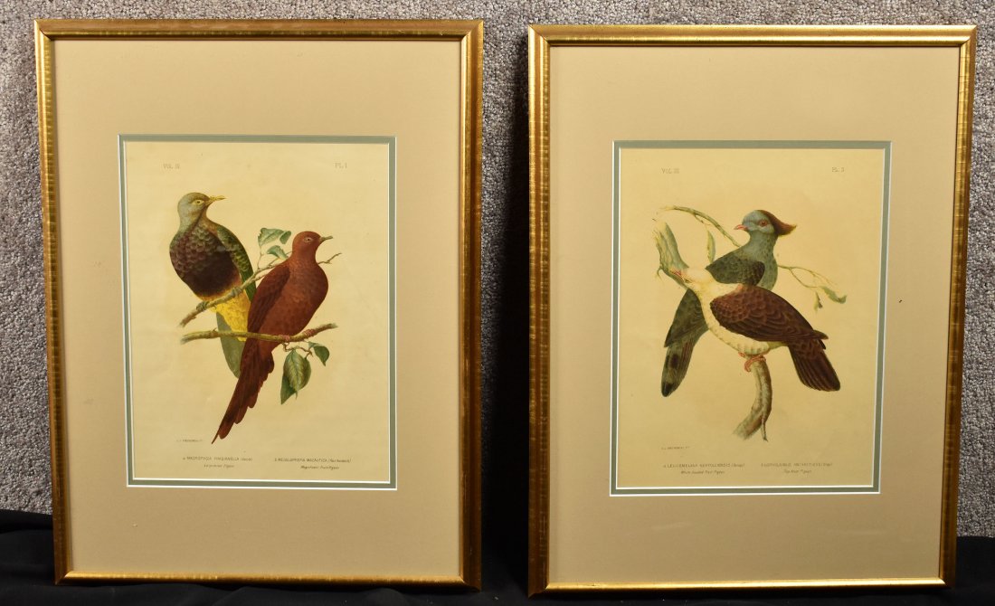 Pair of Bird Prints (1 of 4)