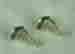 item-25272998=2