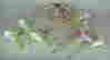 item-31999197=3