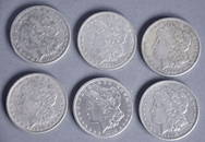 6 Morgan Dollars
