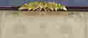 item-43149855=2