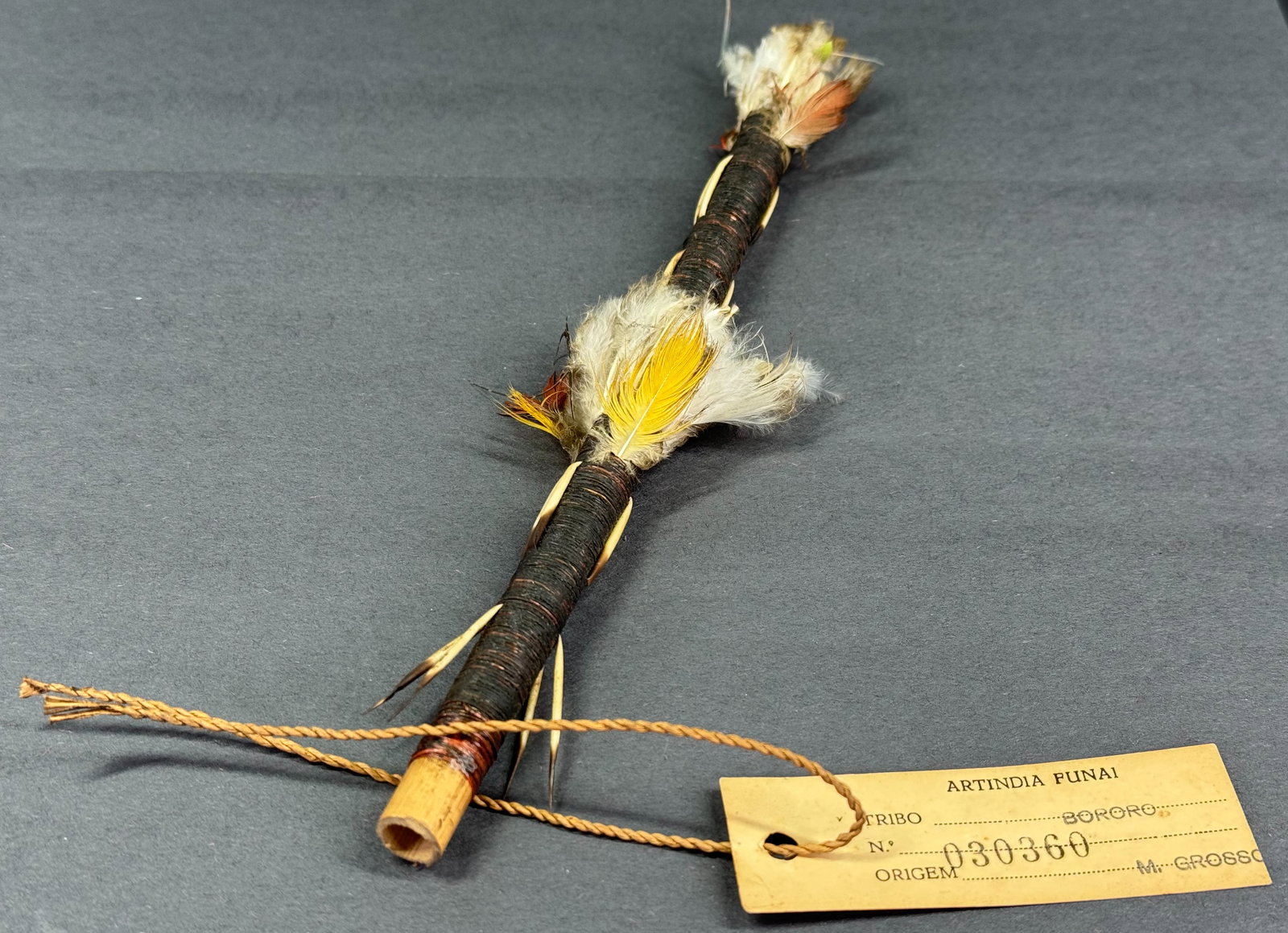 Old Amazonian Bororo Flute: Old Amazonian Bororo Flute. Cane, fiber, porcupine quills, feathers. Paper label from de FUNAI (National Indian Foundation). For measures please refer to the pictures taken with a measuring tape. This