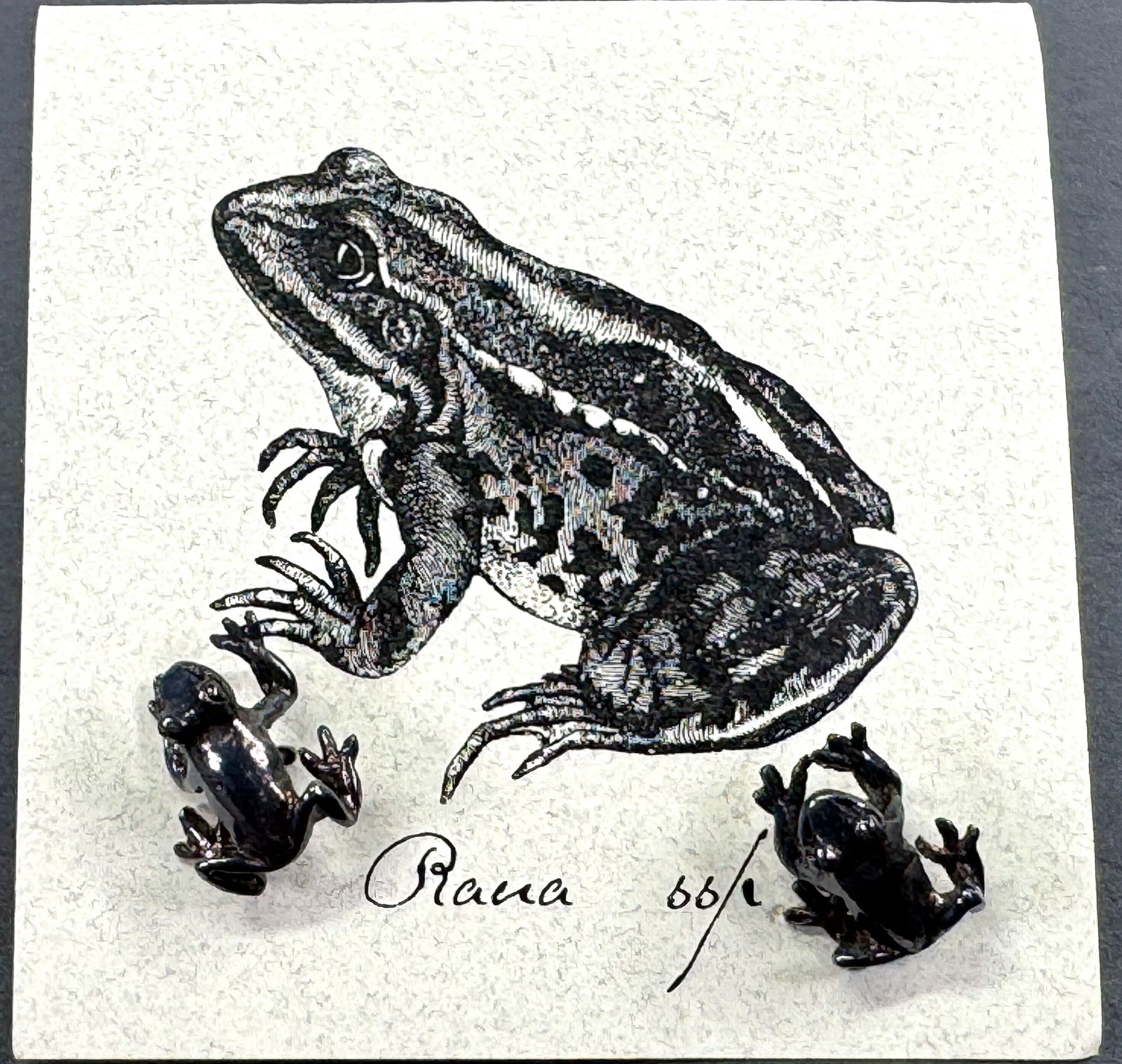 Vintage sterling silver frog rana stud earrings Unused in Semaki card (1 of 7)