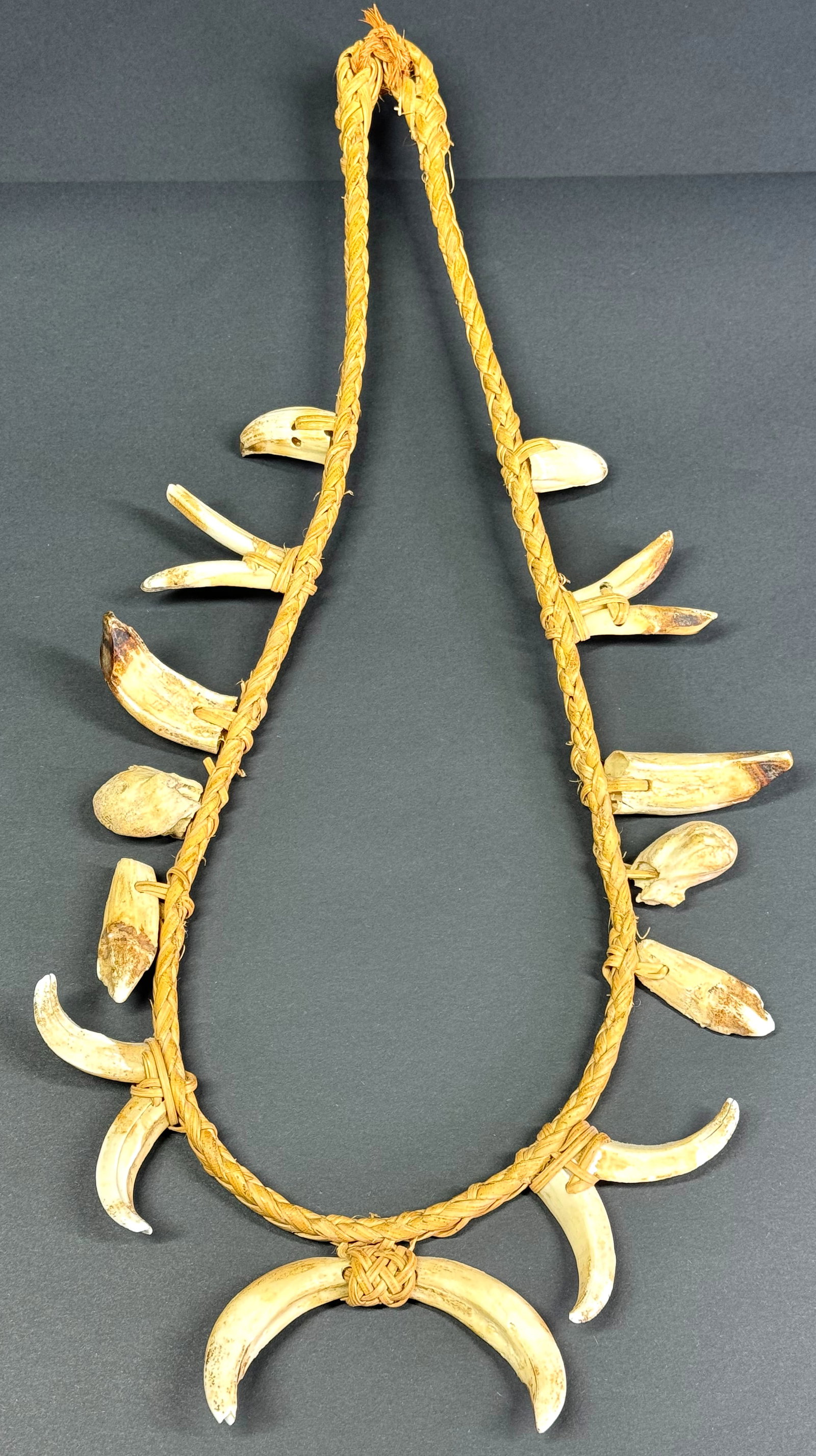 Ifugao Philippines Necklace. Animal tusks and teeth, fiber.: Ifugao Philippines Necklace. Animal tusks and teeth, fiber. For measures please refer to the pictures taken with a measuring tape. This is a NO RESERVE AUCTION: there are no hidden or confidential res