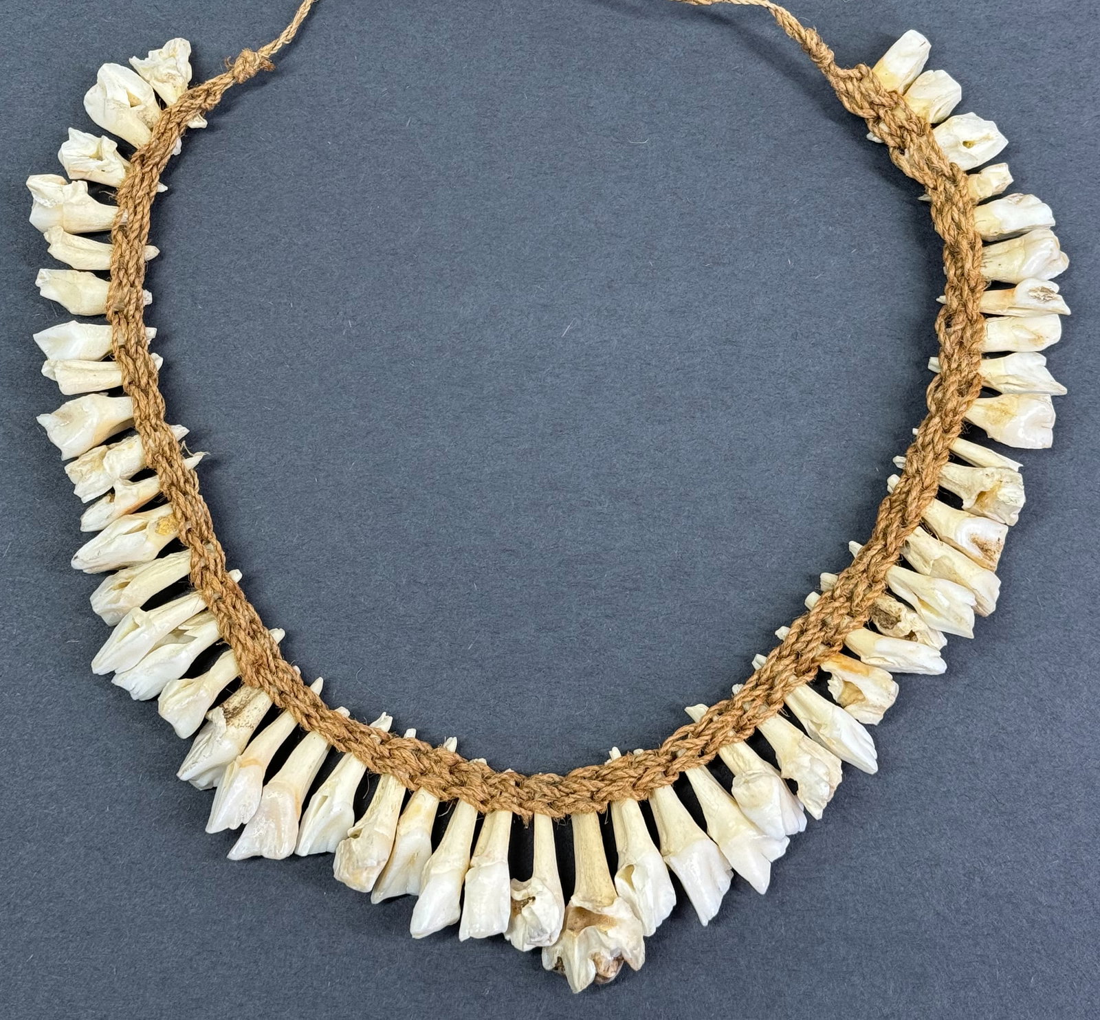 Papua New Guinea Necklace. Pig teeth, fiber.: Papua New Guinea Necklace. Pig teeth, fiber. For measures please refer to the pictures taken with a measuring tape. This is a NO RESERVE AUCTION: there are no hidden or confidential reserves, all acce
