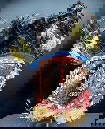 African Bushoong People (Kuba Kingdom) DRC Moshanbwooy Helmet Mask.