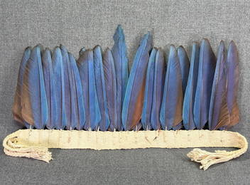 Amazonian Kayapo Feathers Headdress.