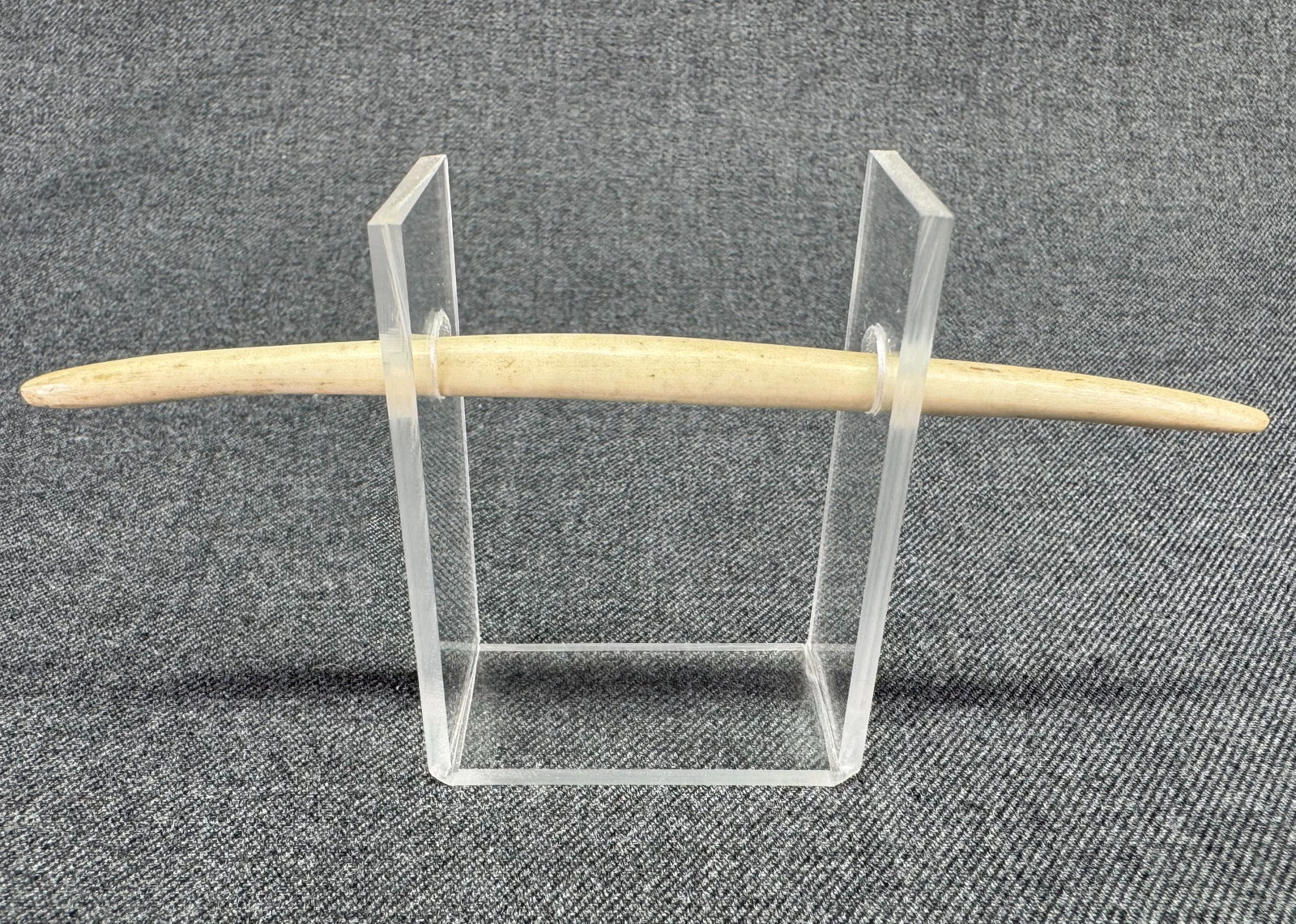 Papua New Guinea Nose Ornament. Clamshell.: Papua New Guinea Nose Ornament. Clamshell. Custom lucite display (included). For measures please refer to the pictures taken with a measuring tape. IN HOUSE Estimated* shipping and handling cost withi