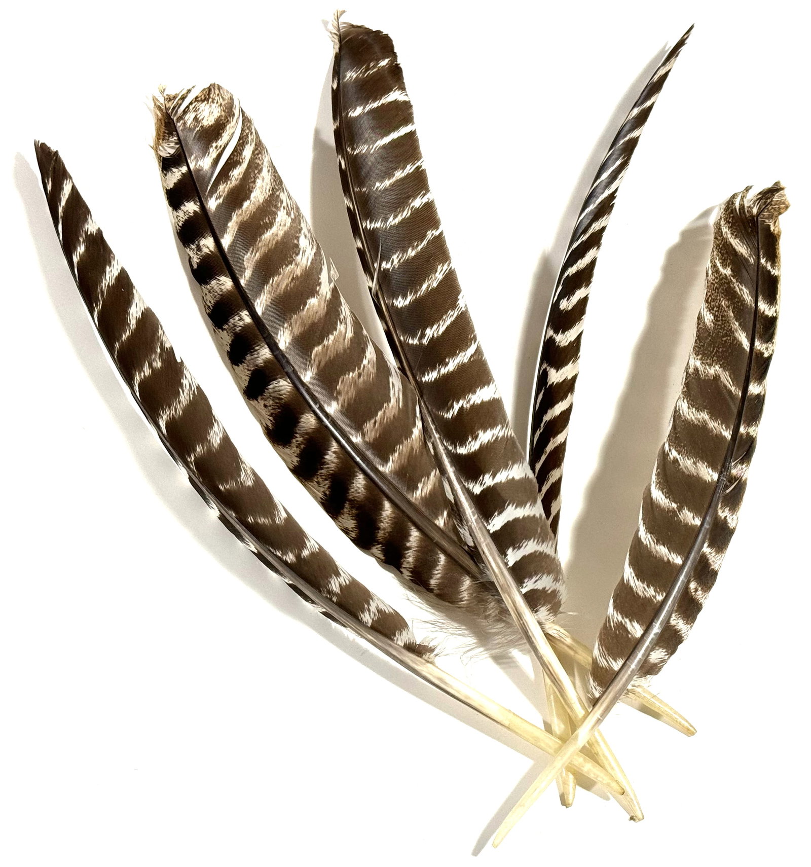 Vintage / Antique millinery assorted brown & creamy feathers: Vintage / Antique millinery assorted brown & creamyfeathers For measures please refer to the pictures taken with a measuring tape. This is a NO RESERVE AUCTION: there are no hidden or confidential res