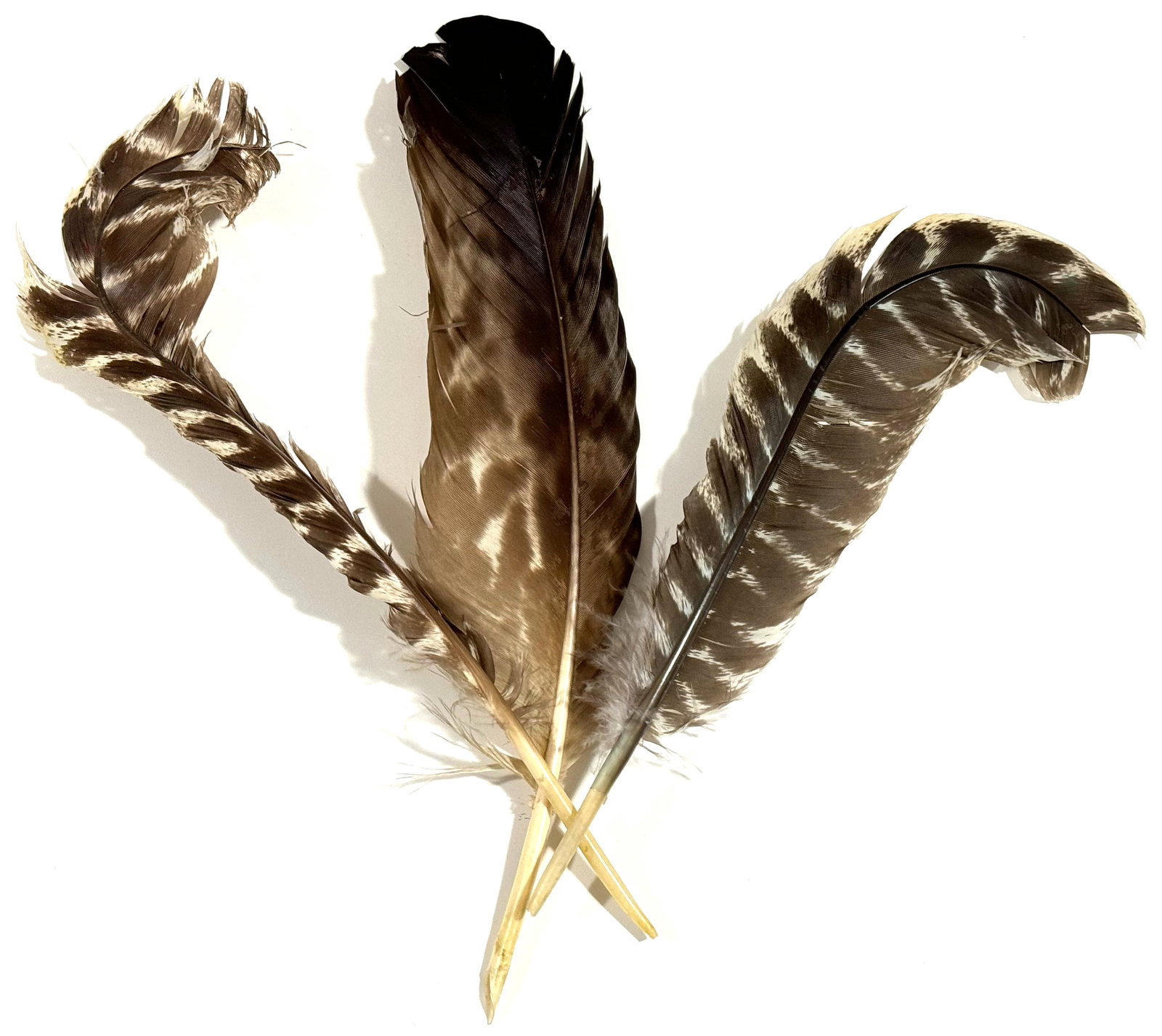 Vintage / Antique millinery assorted brownish feathers.: Vintage / Antique millinery assorted brownish feathers For measures please refer to the pictures taken with a measuring tape. This is a NO RESERVE AUCTION: there are no hidden or confidential reserves
