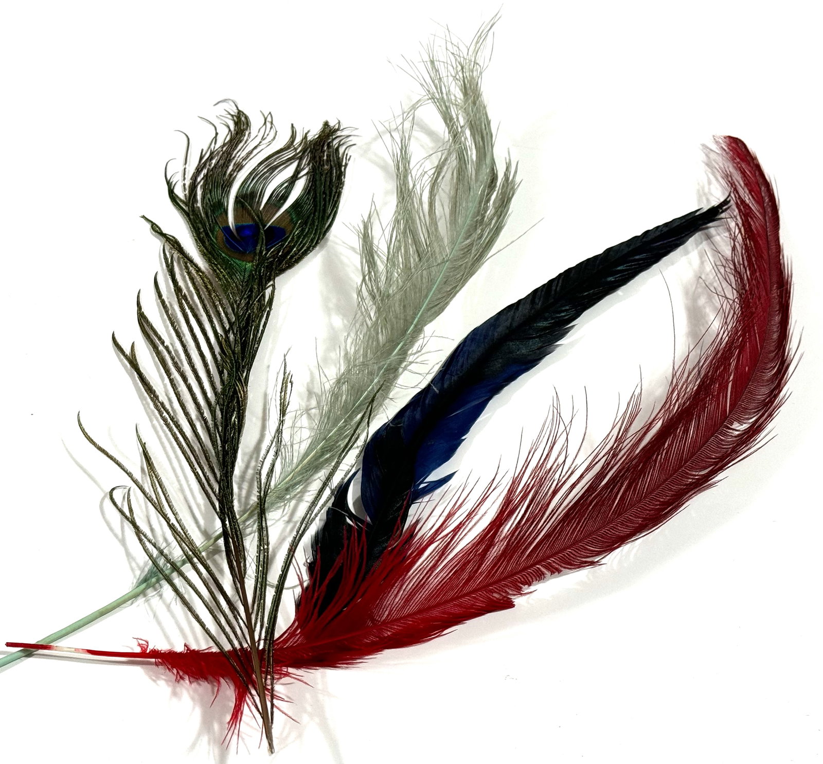 Vintage / Antique millinery assorted colors long feathers.: Vintage / Antique millinery assorted colors long feathers. For measures please refer to the pictures taken with a measuring tape. This is a NO RESERVE AUCTION: there are no hidden or confidential rese