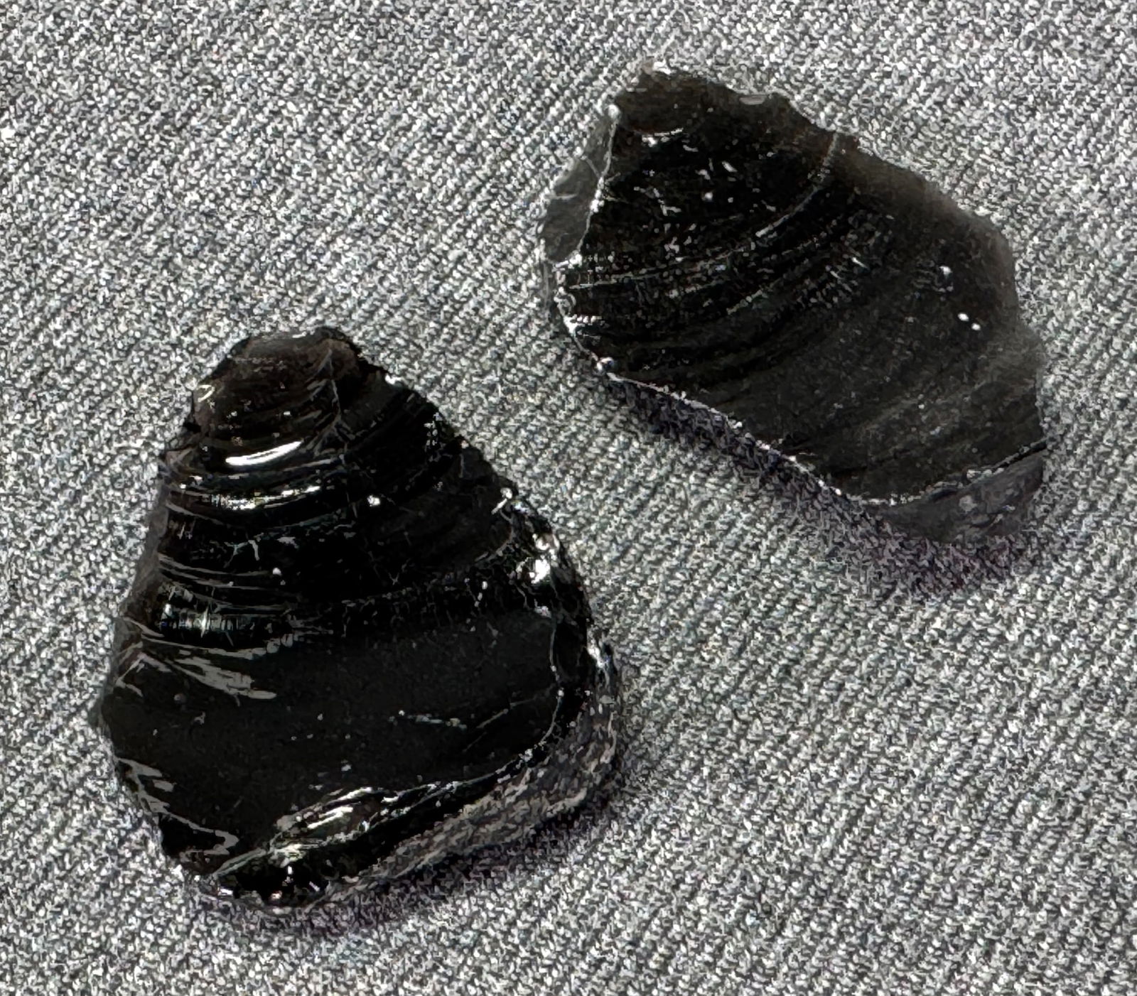 Two South American Patagonia Neolithic Obsidian Flake Tools (1 of 5)