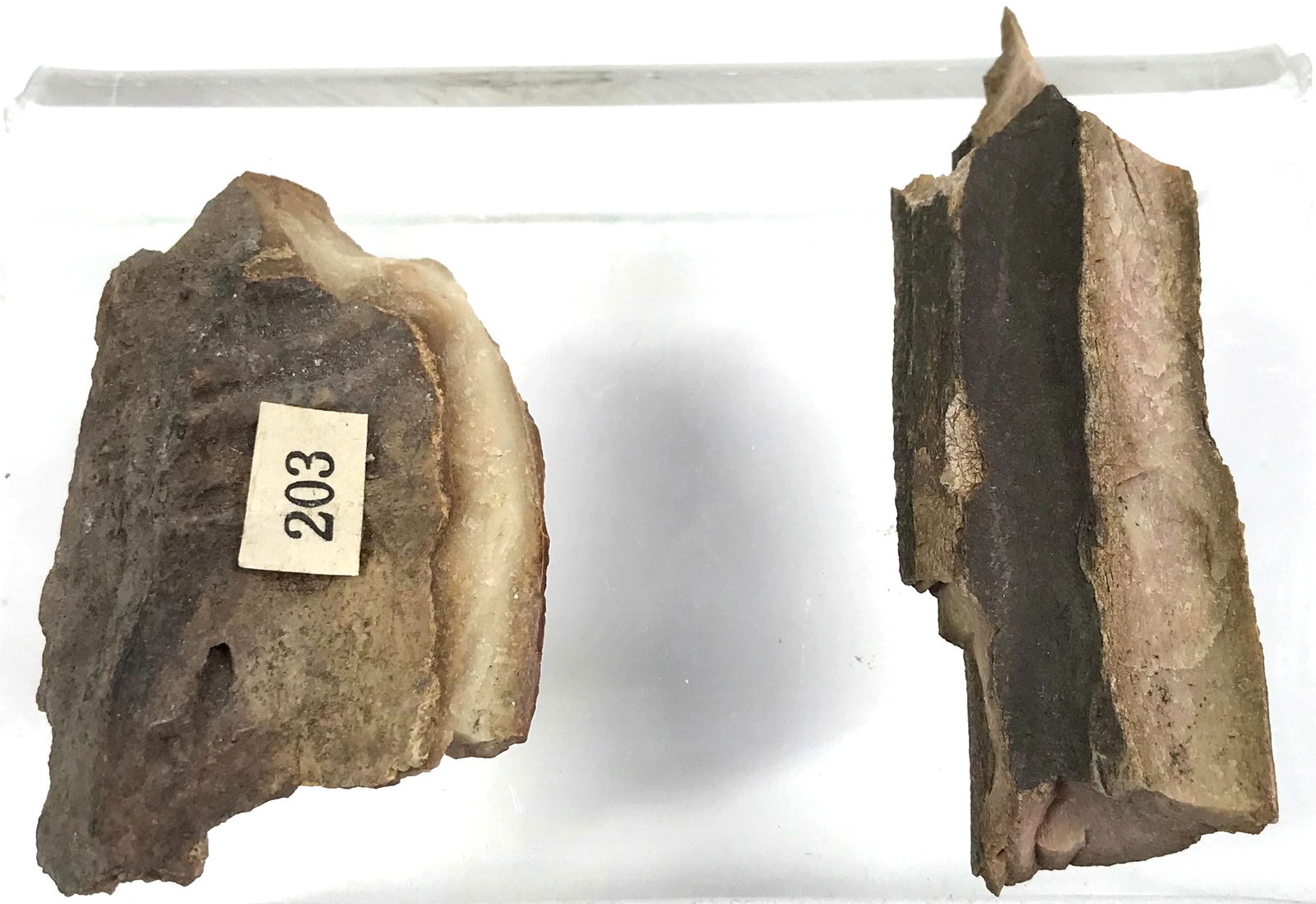 European Paleolithic Bone Retoucher and Burin Tools: 2 European Paleolithic Bone Tools. The lot includes one retoucher and one burin. Old paper label from collection. Retoucher measures 2 1/4 x 1 3/4 inches. Burin measures 2 3/4 x 3/4 inches. Weight: 2