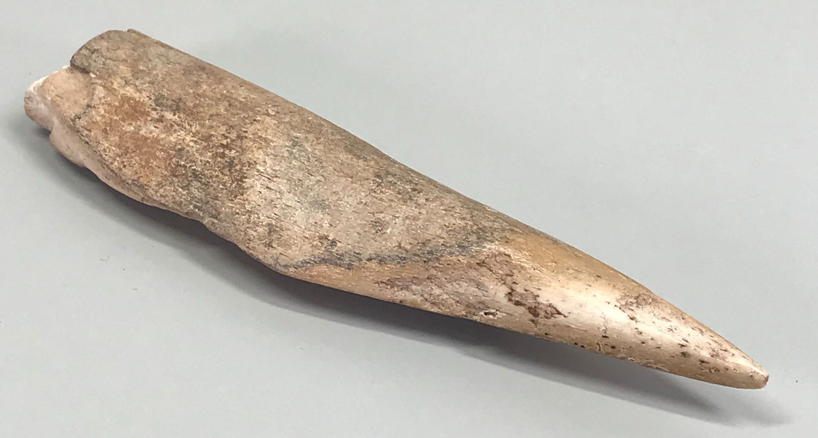 European Paleolithic Bone Point.: European Paleolithic Bone Point. Old paper label from collection. For measures please refer to the picture taken with a measuring tape. This is a NO RESERVE AUCTION: there are no hidden or confidentia