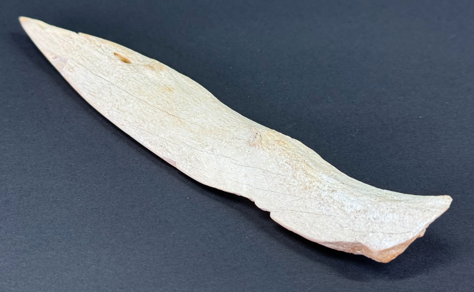 European Neolithic Bone Point.: European Neolithic Bone Point. Old paper label from collection. For measures please refer to the pictures taken with a measuring tape. This is a NO RESERVE AUCTION: there are no hidden or confidential