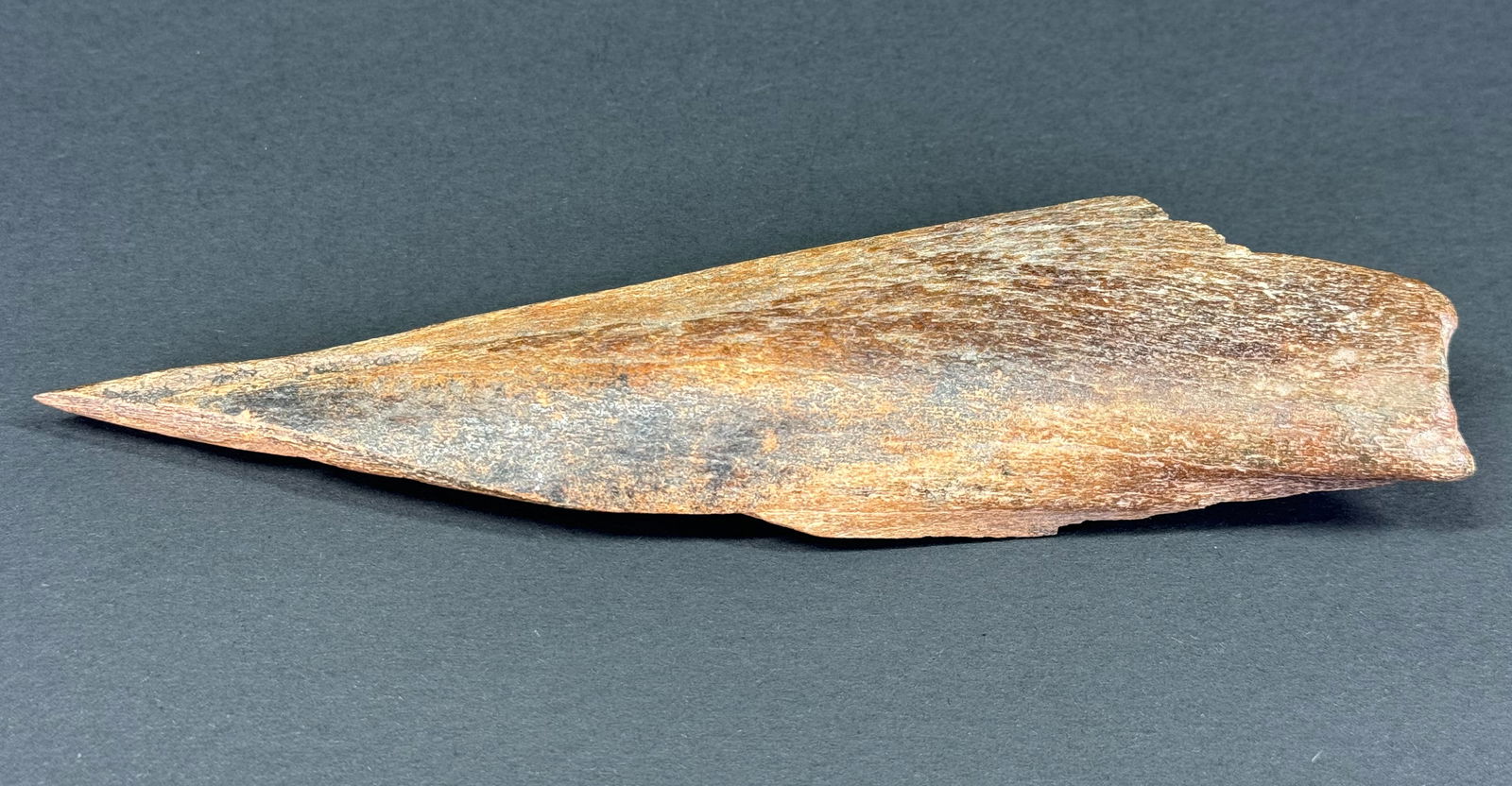 European Paleolithic Bone Point.: European Paleolithic Bone Point. For measures please refer to the pictures taken with a measuring tape. This is a NO RESERVE AUCTION: there are no hidden or confidential reserves, all acceptable biddi