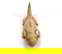 item-207823917=8