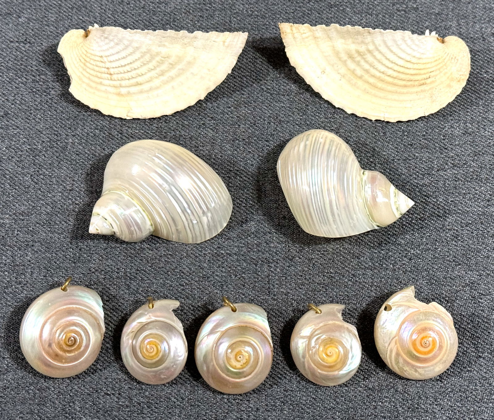 Vintage shell loose beads for jewelry crafts making: Vintage shell loose beads for jewelry crafts making. For measures please refer to the pictures taken with a measuring tape. Weight: 60 Grams. This is a NO RESERVE AUCTION: there are no hidden or confi