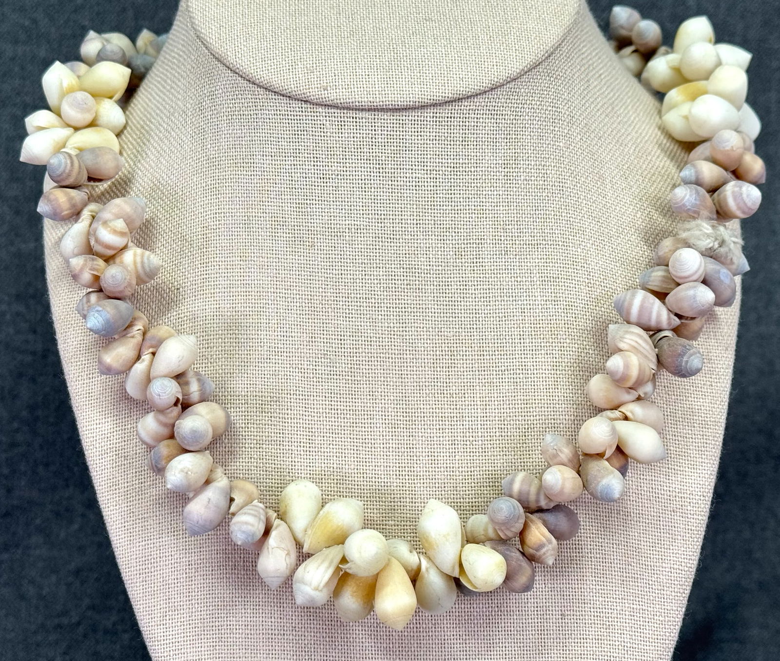 Vintage Tahiti shell-pupu lei necklace (1 of 5)