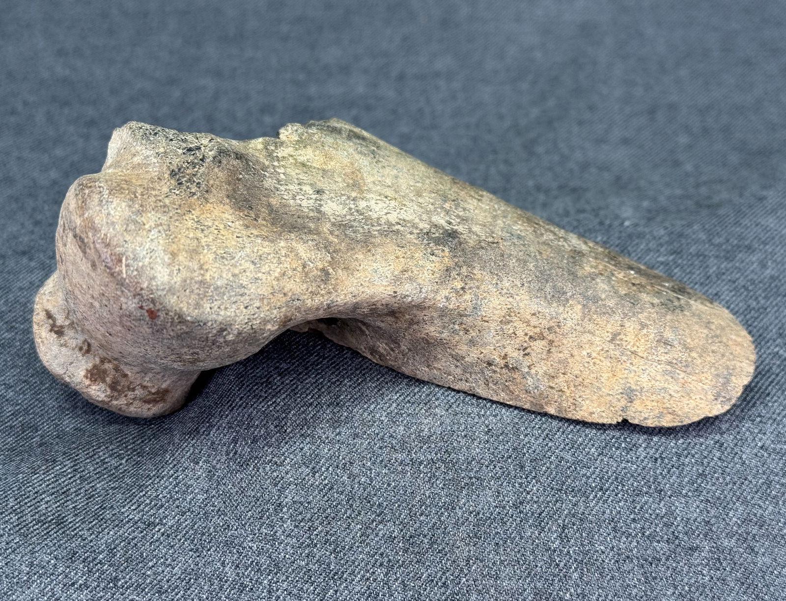 Large South American Patagonia Neolithic Bone Tool. Old paper label from collection.: Large South American Patagonia Neolithic Bone Tool.Old paper label from collection.. For measures please refer to the pictures taken with a measuring tape. IN HOUSE Estimated* shipping and handling co