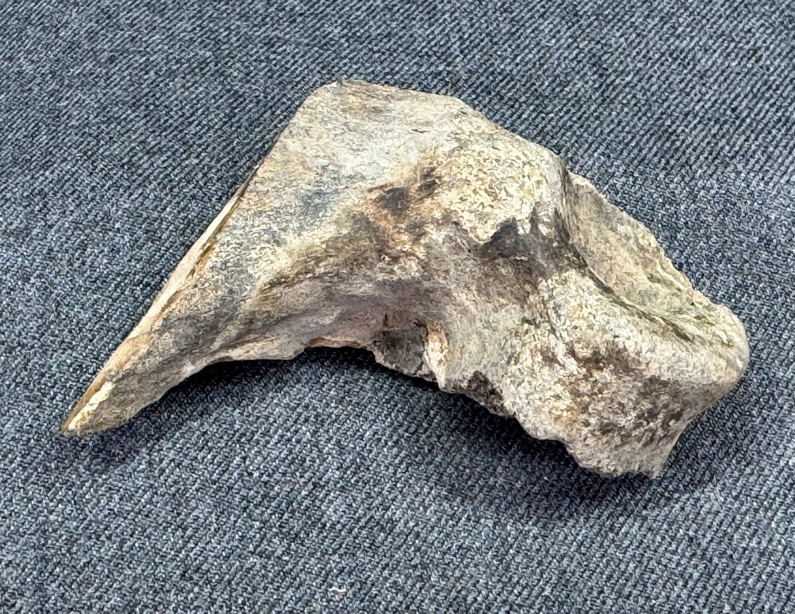 South American Patagonia Neolithic Bone Tool. Old paper label from collection.: South American Patagonia Neolithic Bone Tool. Old paper label from collection. For measures please refer to the pictures taken with a measuring tape. IN HOUSE Estimated* shipping and handling cost wit