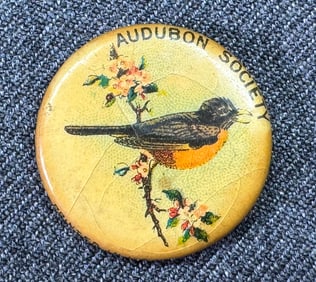 1930s  Audubon Society ROBIN  pin back button with paper label on back