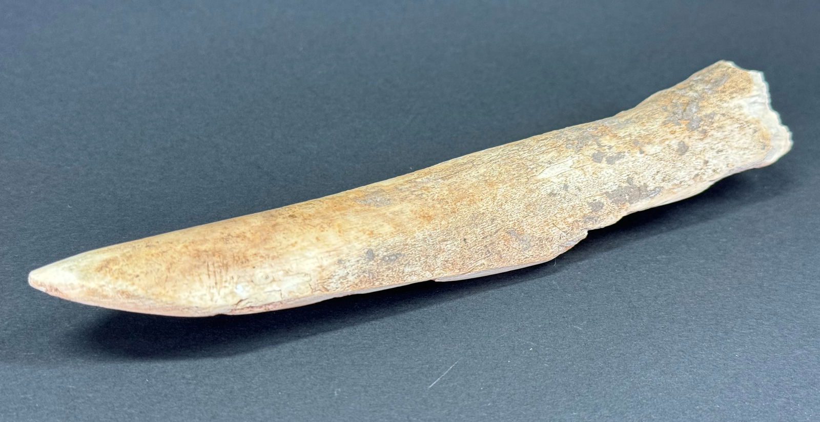 European Neolithic Bone Point. (1 of 8)