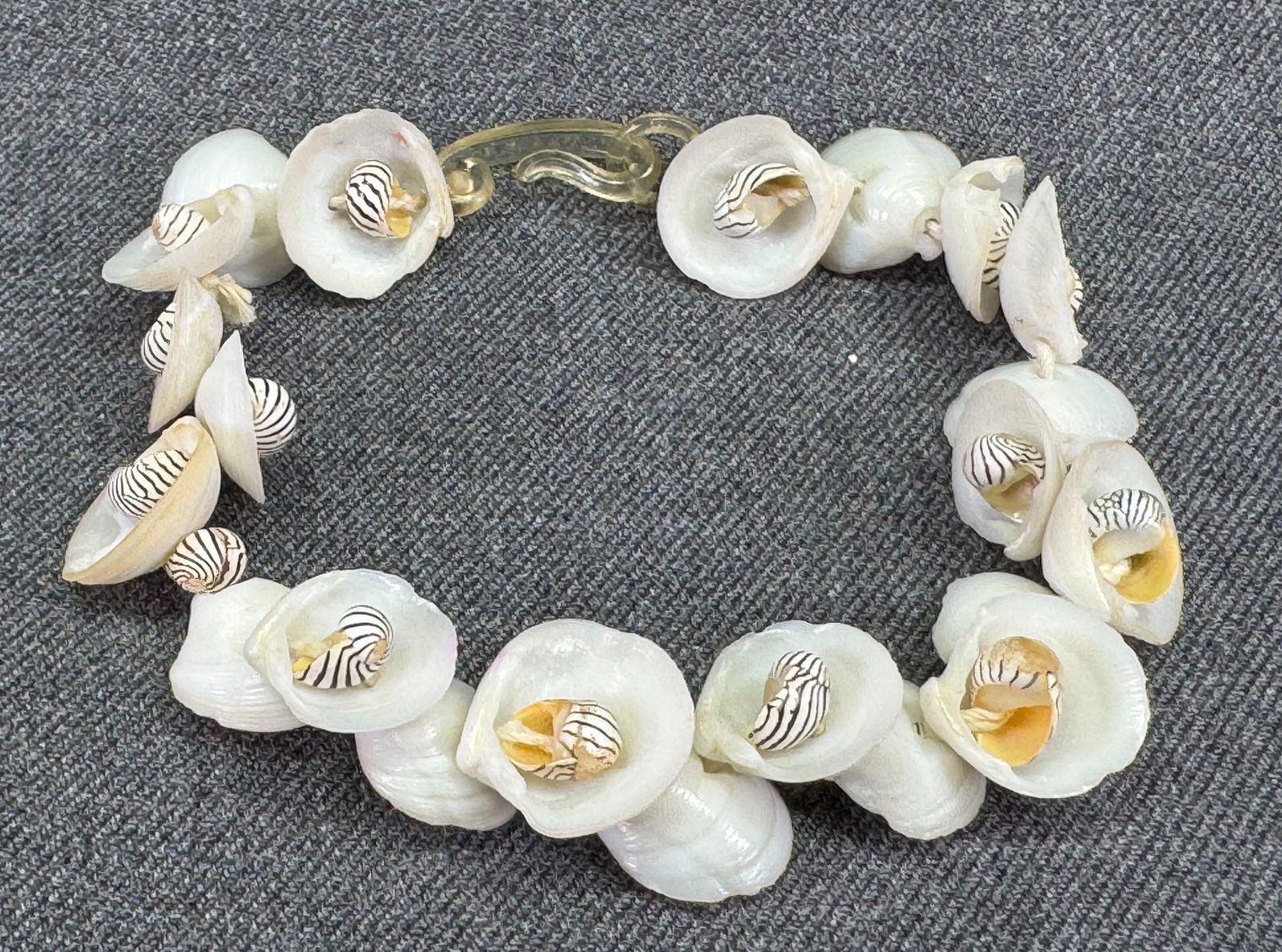Vintage 1950s Hand Crafted Zebra & Clam Shells Bracelet. Celluloid Closure.    u (1 of 10)