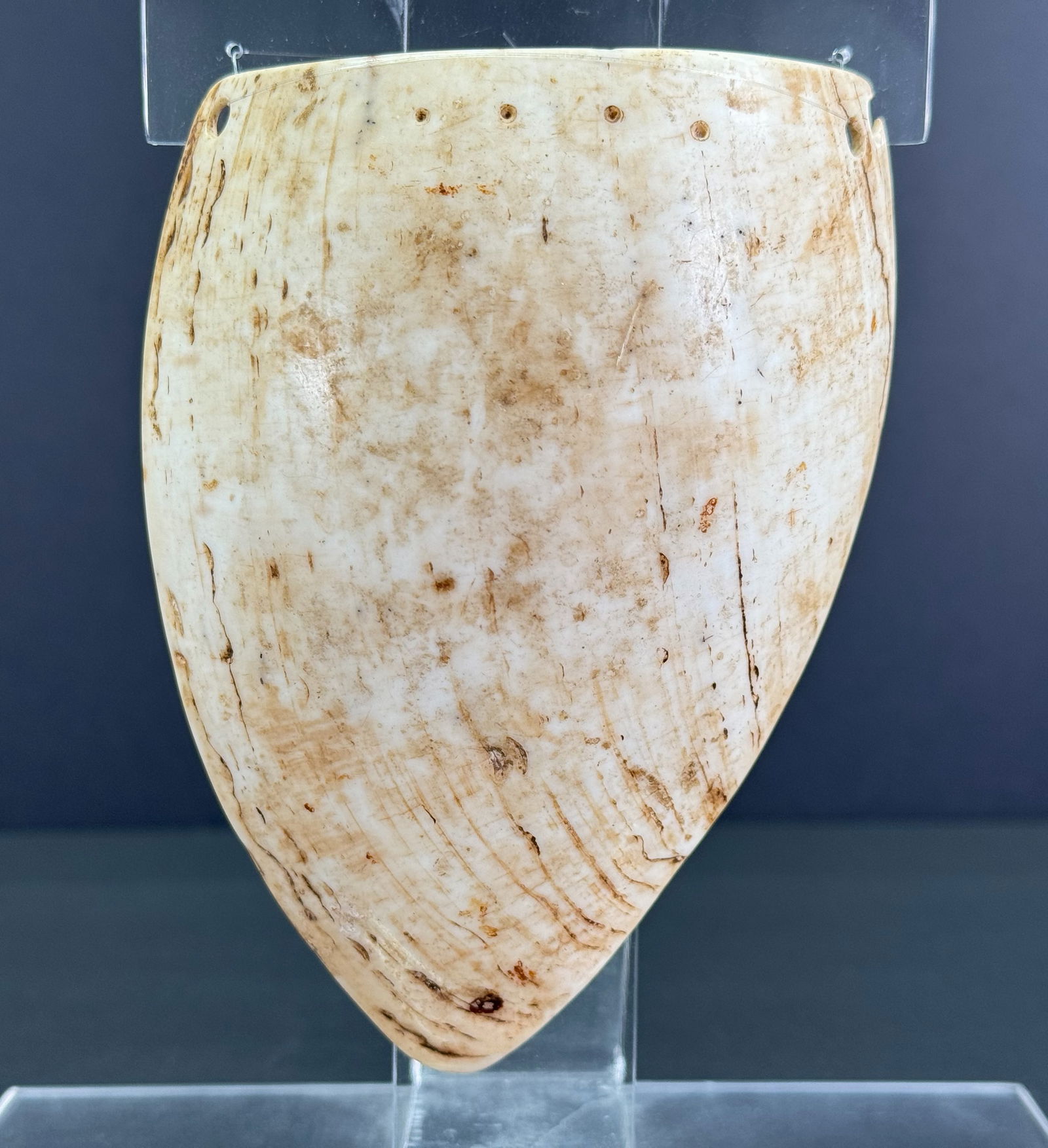 Antique Papua New Guinea Papuan Gulf Pubic Cover.: IN HOUSE FLAT SHIPPING & HANDLING COST WITHIN ALL THE U.S. : $20 To bypass LiveShipping, and use our In-House shipping service for $20 or shipping combined for multiple lots, please select “Arrange