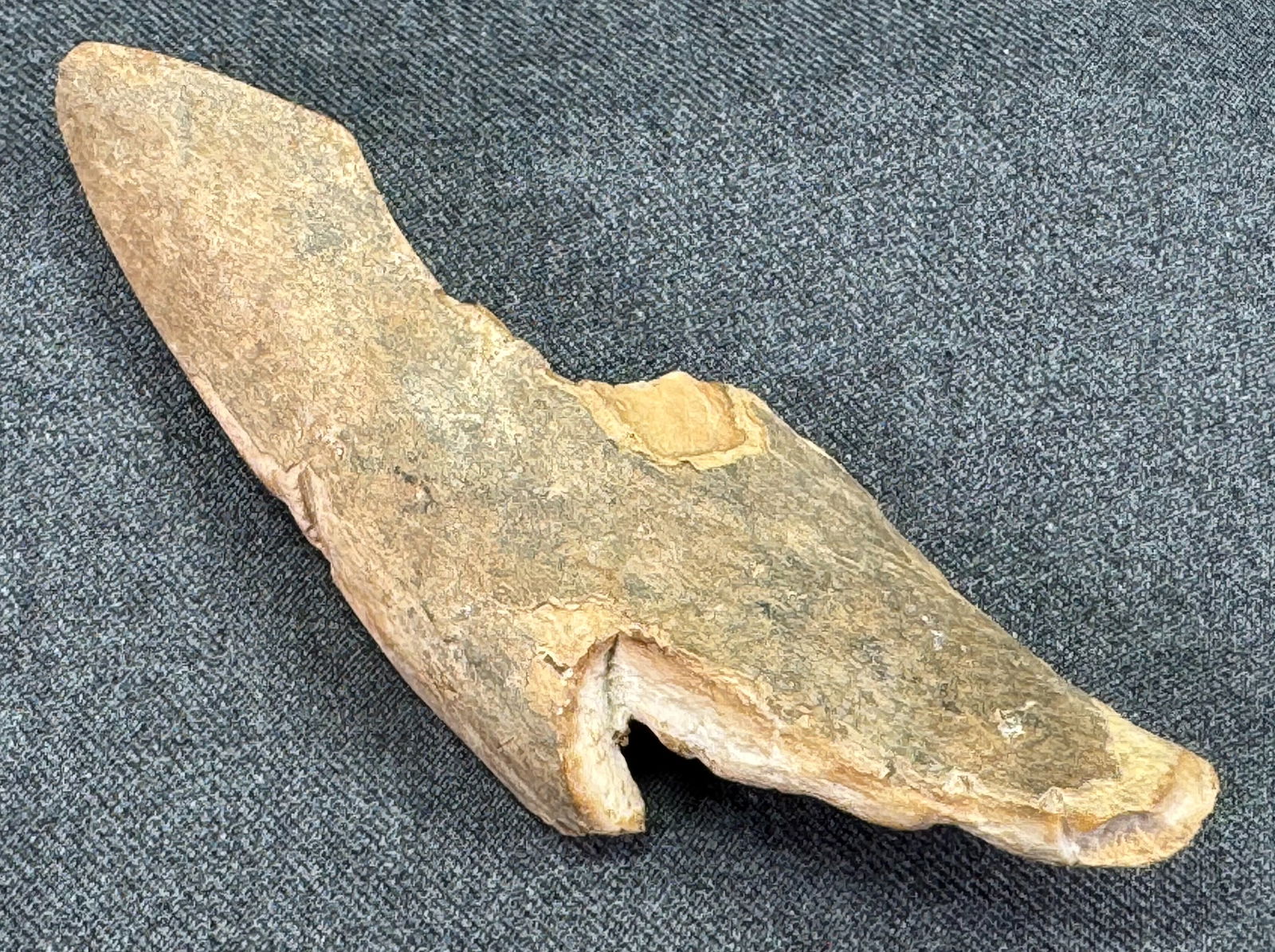 European Paleolithic Bone Point .: IN HOUSE FLAT SHIPPING & HANDLING COST WITHIN ALL THE U.S. : 7 To bypass LiveShipping, and use our In-House shipping service for 7 or shipping combined for multiple lots, please select “Arrange
