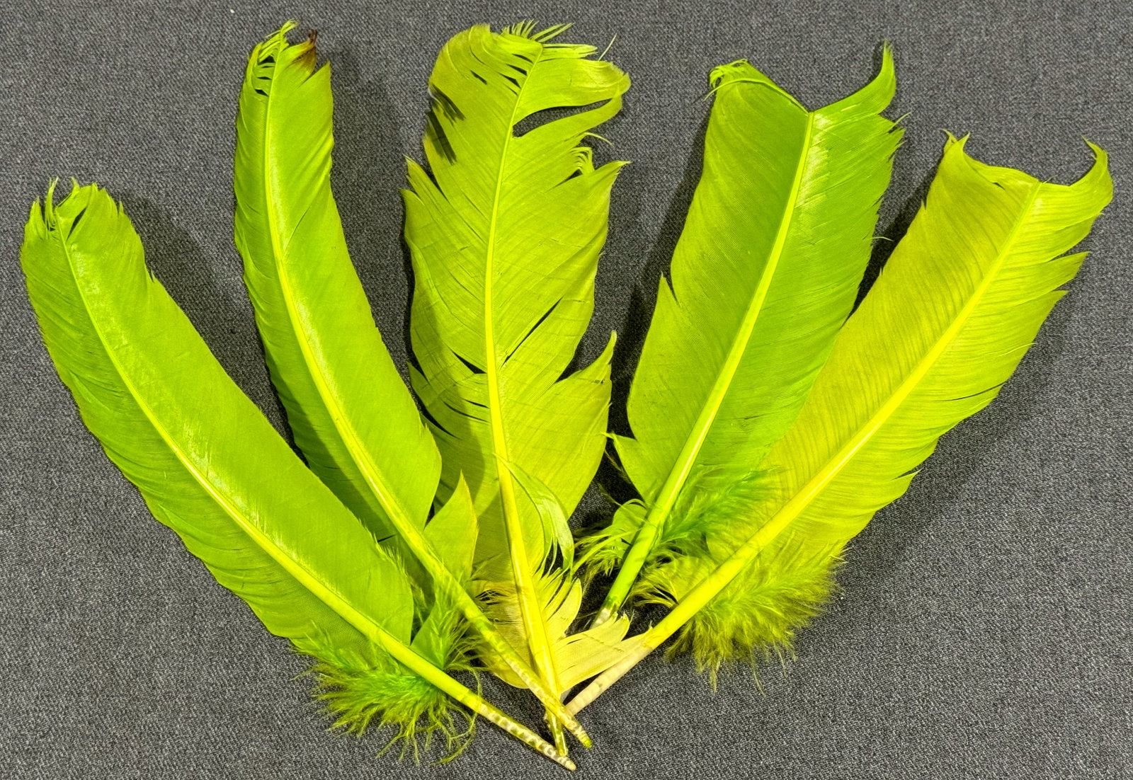 Vintage / Antique assorted millinery green feathers: IN HOUSE FLAT SHIPPING & HANDLING COST WITHIN ALL THE U.S. : 7 To bypass LiveShipping, and use our In-House shipping service for 7 or shipping combined for multiple lots, please select “Arrange