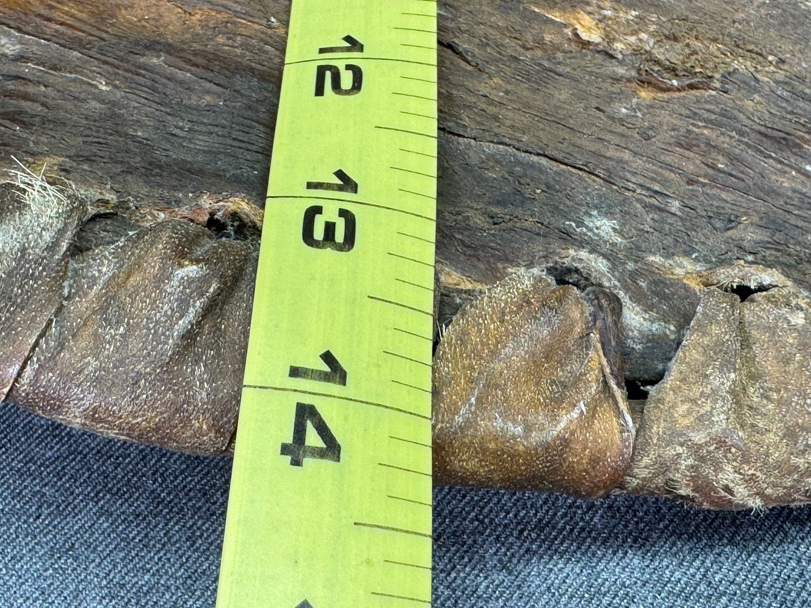 African Luo Kenya Shield - 15