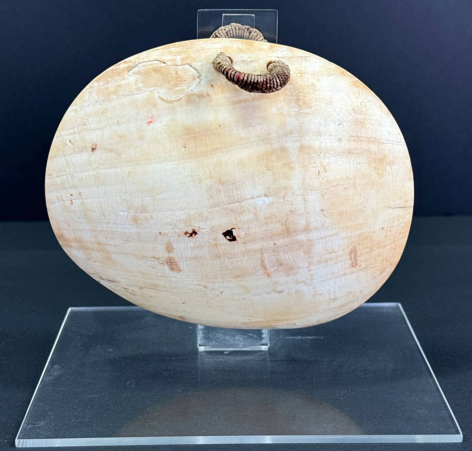 Antique Papua New Guinea Lower Ramu River Mouth Adornment.: IN HOUSE FLAT SHIPPING & HANDLING COST WITHIN ALL THE U.S. : $20 To bypass LiveShipping, and use our In-House shipping service for $20 or shipping combined for multiple lots, please select “Arrange