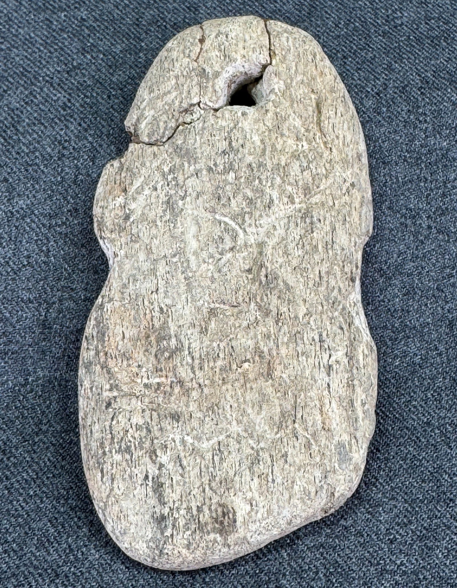 Patagonia Argentina Large Neolithic Bone Pendant. Front with difficult to see marks. (1 of 10)