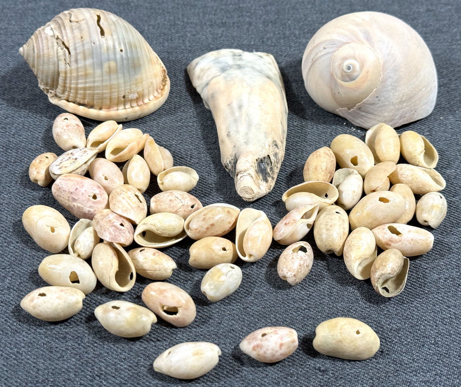 Vintage shell loose beads for jewelry crafts making (1 of 6)