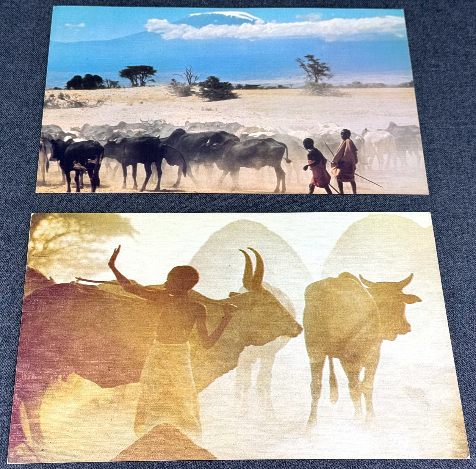 Vintage 70s African Postcards. M+P Maasai herdsman & Child herding by Mirella Ricciardi. Lot of 2.: IN HOUSE FLAT SHIPPING & HANDLING COST WITHIN ALL THE U.S. : $7 To bypass LiveShipping, and use our In-House shipping service for $7 or shipping combined for multiple lots, please select “Arrange Yo