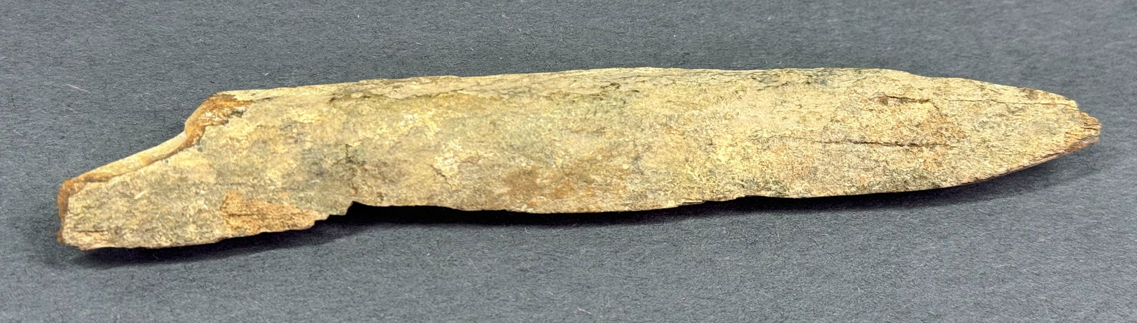 European Paleolithic Bone Point. - 2