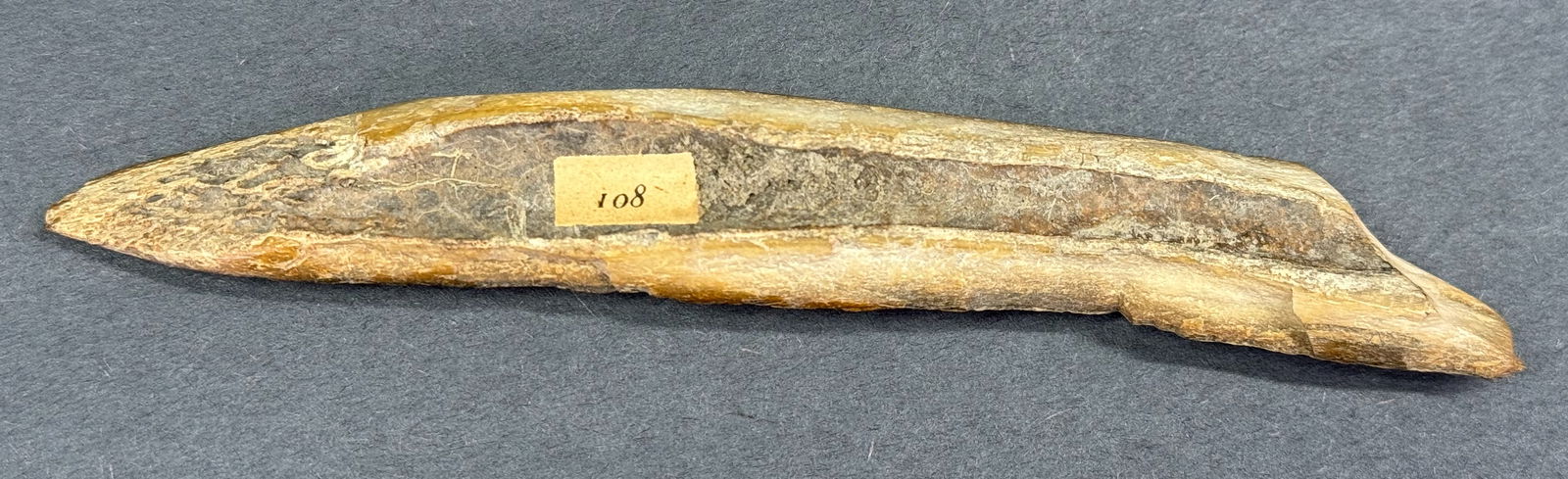 European Paleolithic Bone Point. - 5